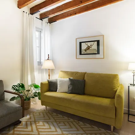 Aparthotel Canavall 3*