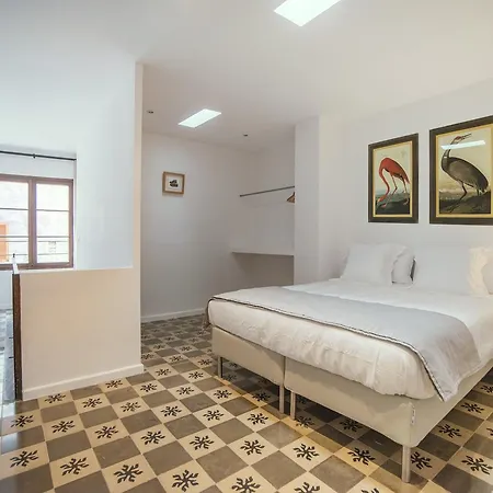 Canavall Palma de Mallorca